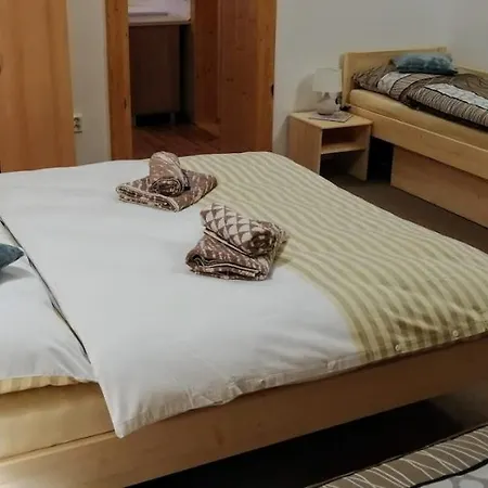 Penzion Svitavy Homestay *