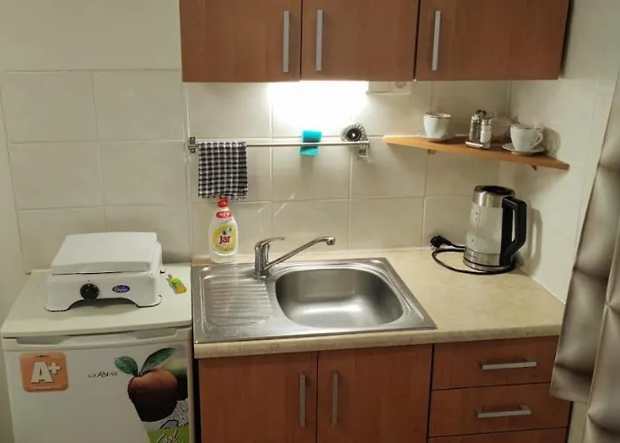 民宿 Penzion Svitavy